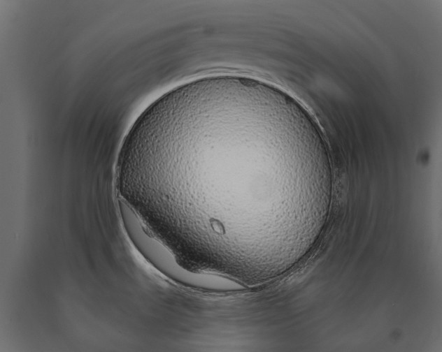 X0000090461535200708031229