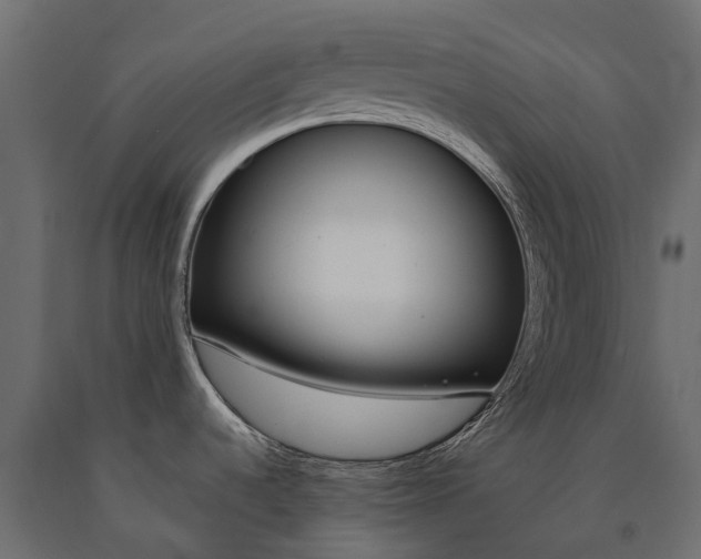 X0000090461536200708031229