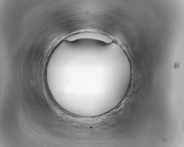 X0000090460001200708102121