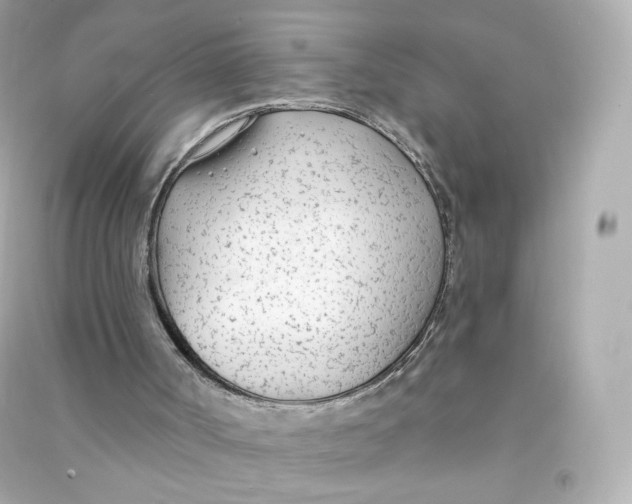 X0000090460002200708102121