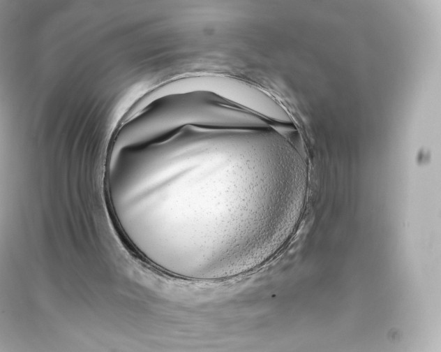 X0000090460003200708102121