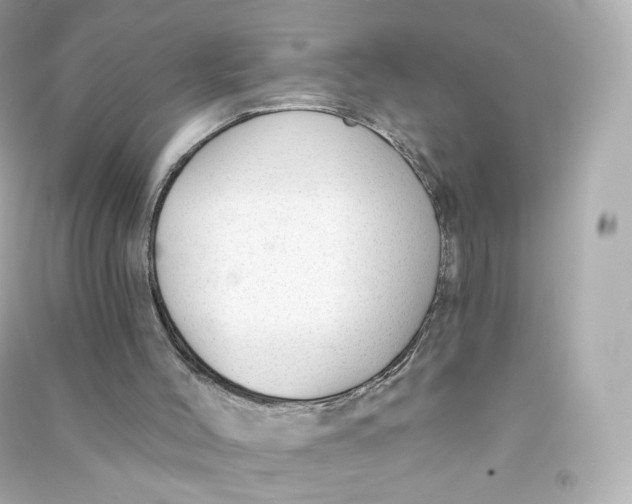 X0000090460004200708102121