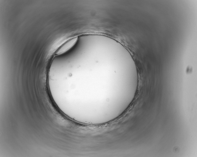 X0000090460005200708102121