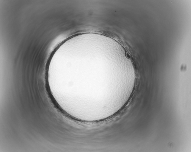 X0000090460006200708102121