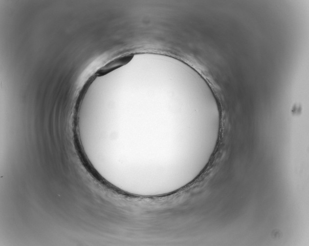 X0000090460007200708102121