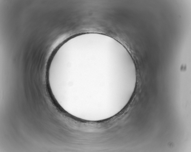 X0000090460008200708102121