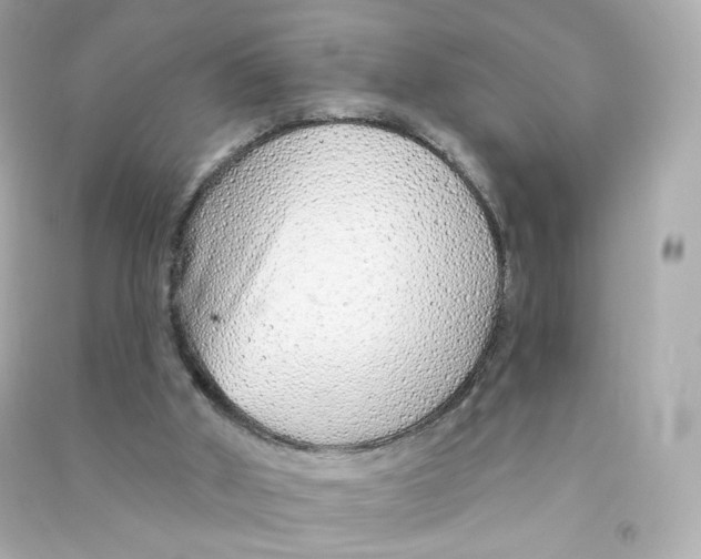 X0000090460010200708102121