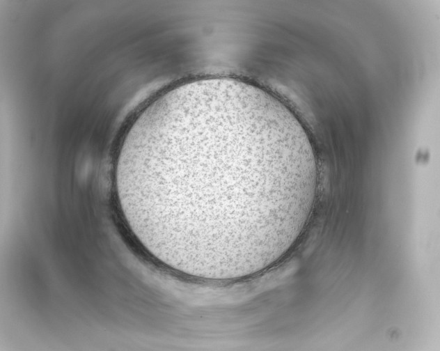 X0000090460016200708102121