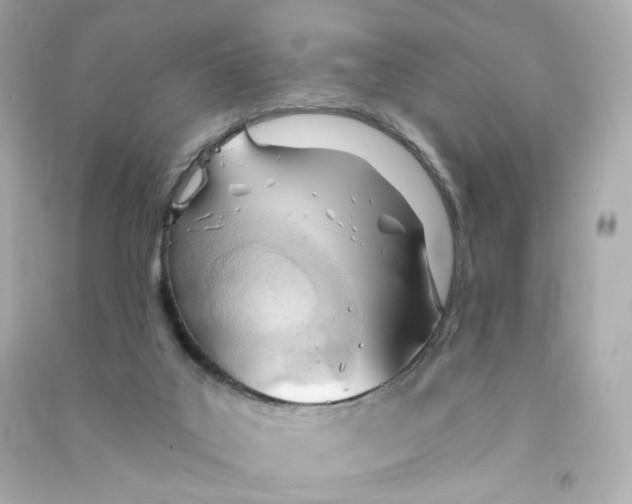 X0000090460019200708102121