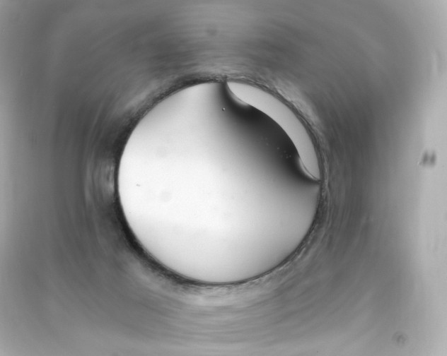 X0000090460021200708102121