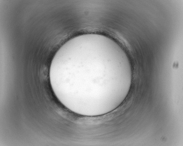 X0000090460025200708102121