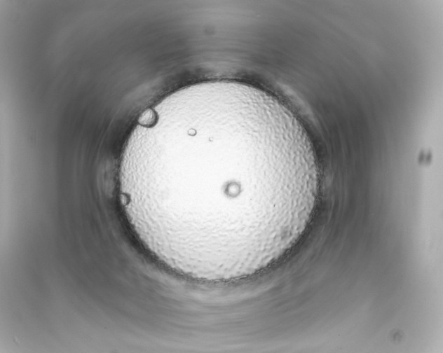 X0000090460026200708102121