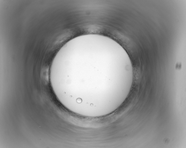 X0000090460028200708102121