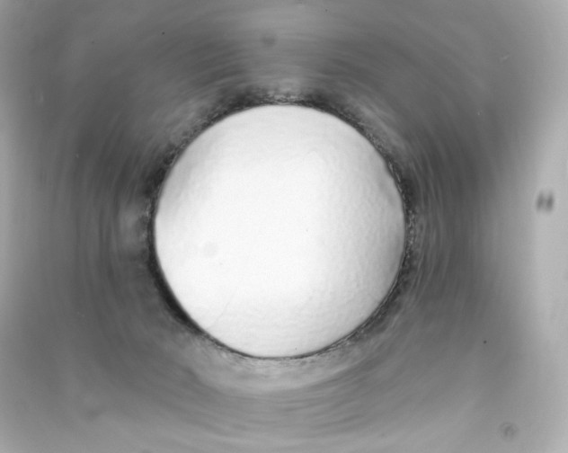 X0000090460030200708102121