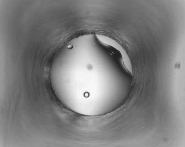 X0000090460033200708102121