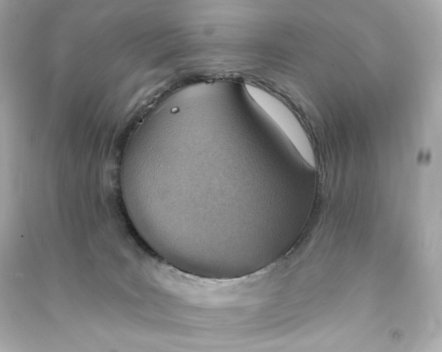 X0000090460035200708102121