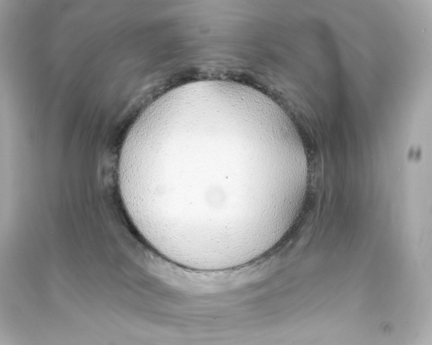 X0000090460038200708102121