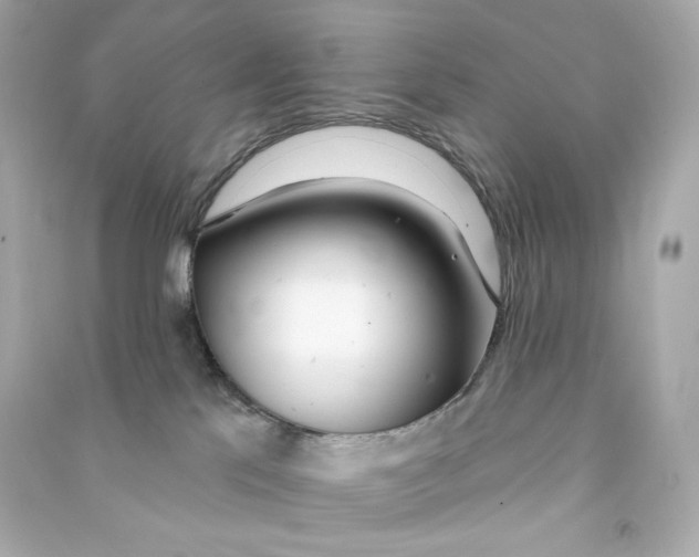 X0000090460041200708102121