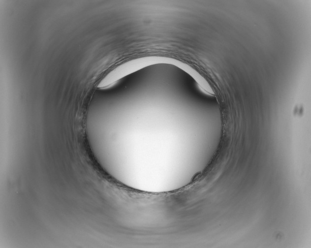 X0000090460044200708102121