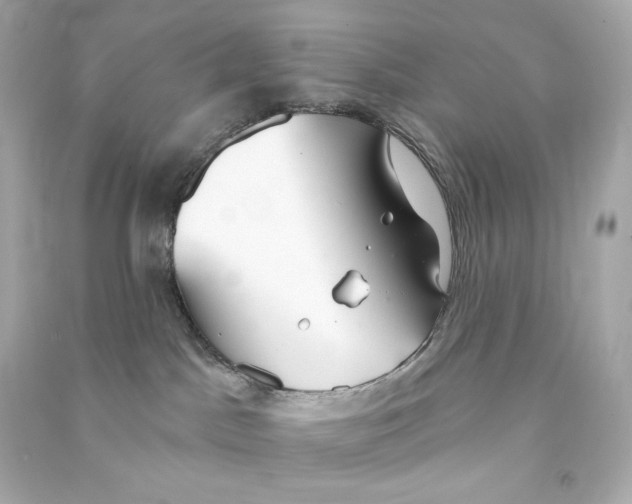 X0000090460045200708102121