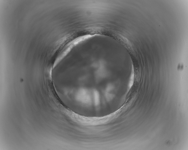 X0000090460047200708102121