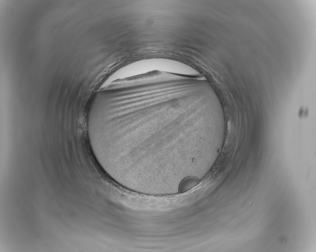 X0000090460048200708102121