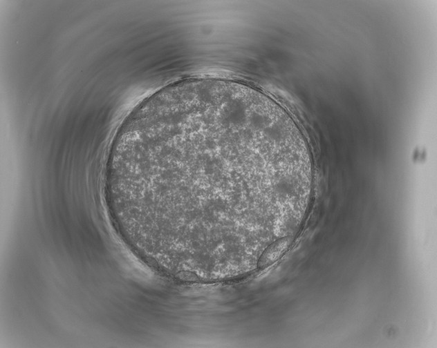 X0000090460049200708102120