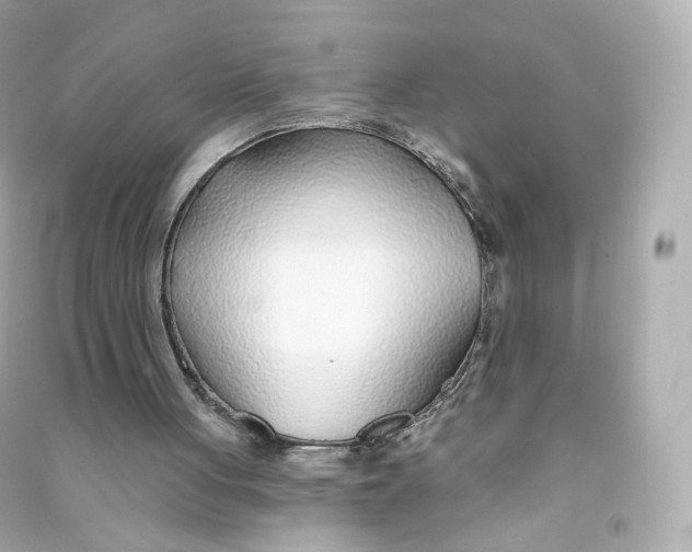 X0000090460051200708102120