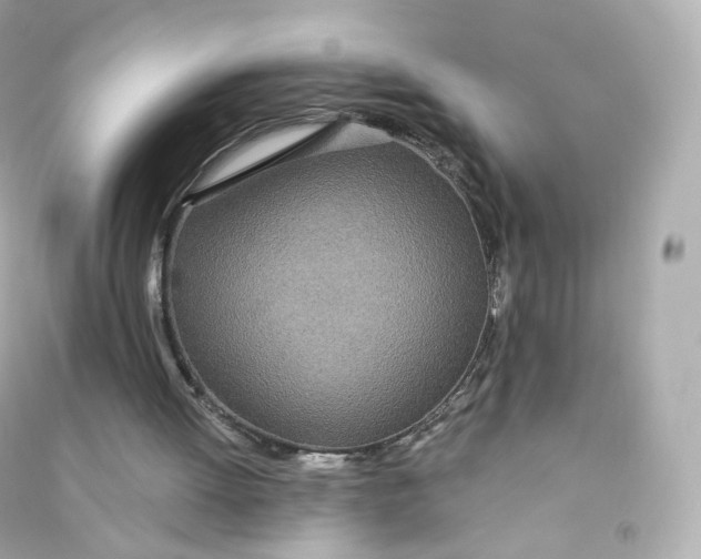 X0000090460052200708102120