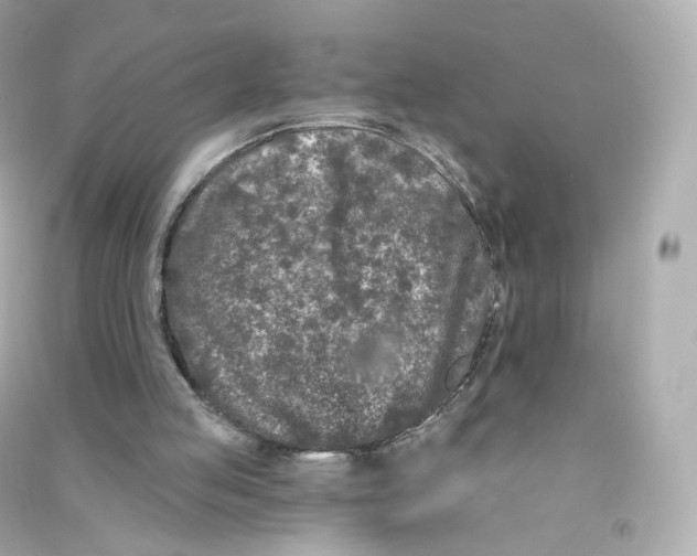 X0000090460053200708102120