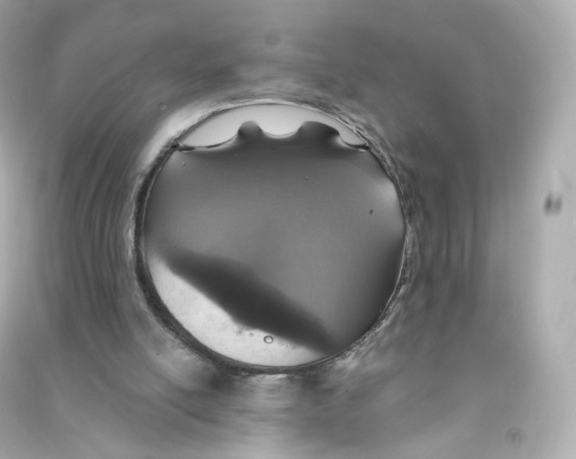 X0000090460054200708102120