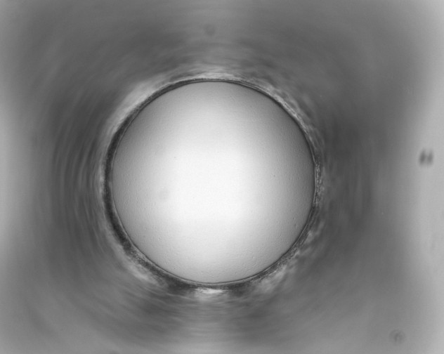 X0000090460055200708102120