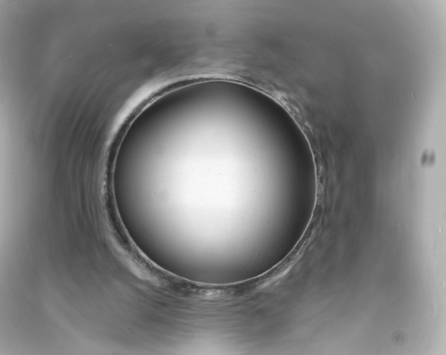 X0000090460056200708102120