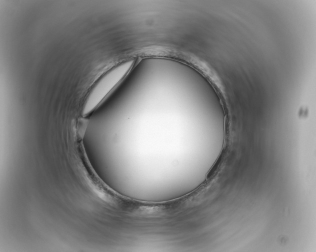 X0000090460057200708102120