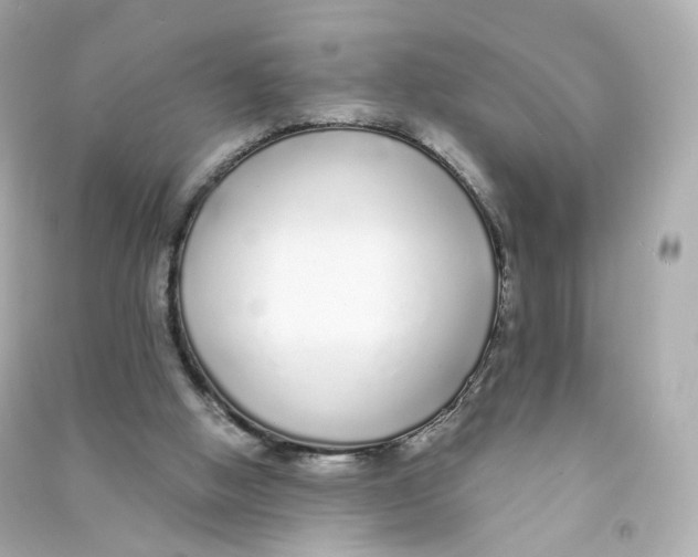 X0000090460058200708102120