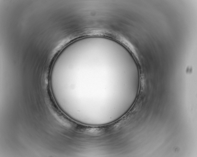 X0000090460059200708102120