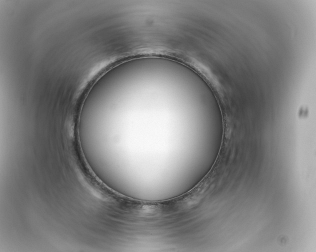 X0000090460060200708102120