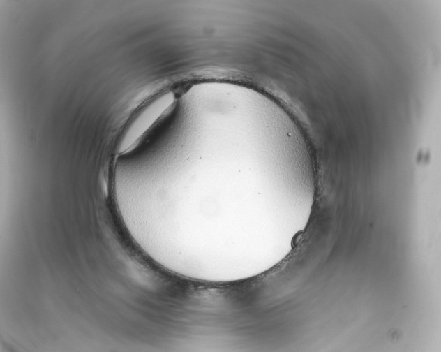 X0000090460062200708102120