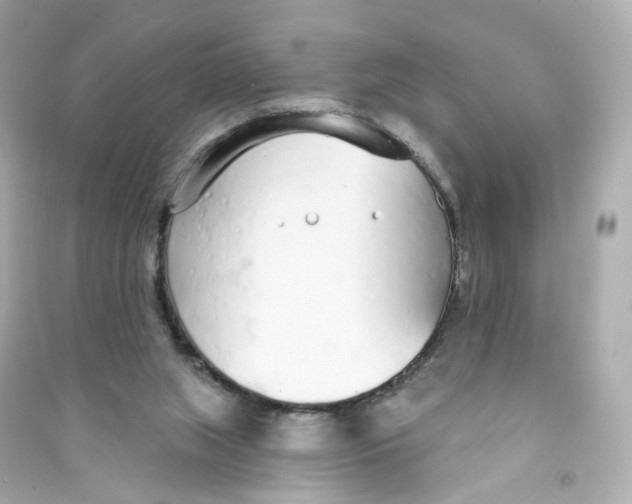 X0000090460063200708102120