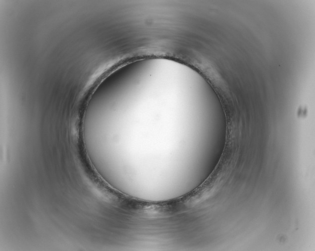 X0000090460064200708102120