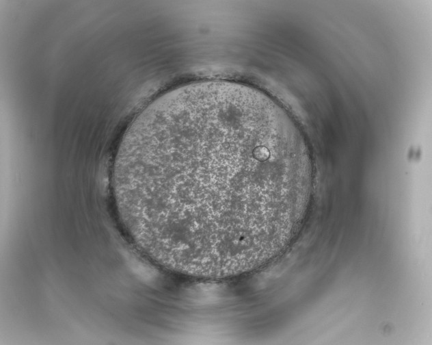 X0000090460065200708102120