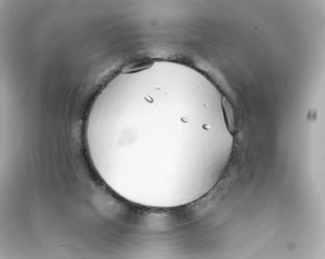 X0000090460066200708102120