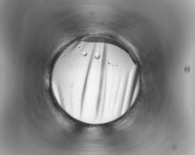 X0000090460067200708102120