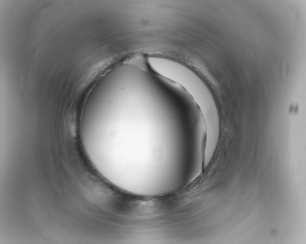 X0000090460068200708102120