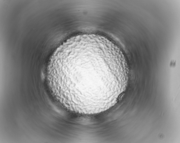 X0000090460069200708102120