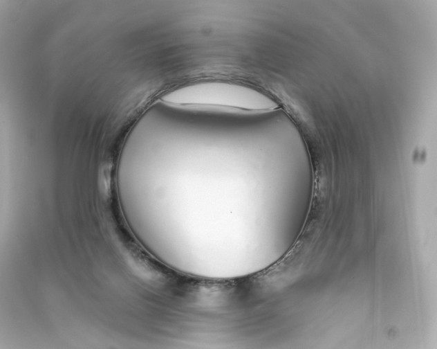 X0000090460070200708102120