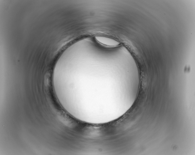 X0000090460071200708102120