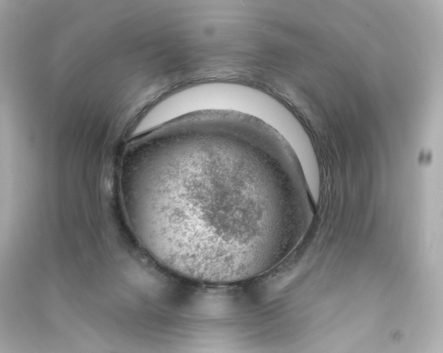 X0000090460072200708102120