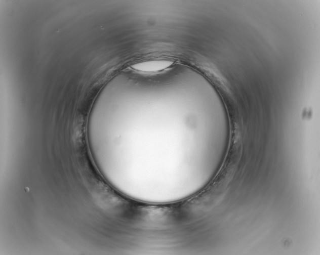 X0000090460073200708102120