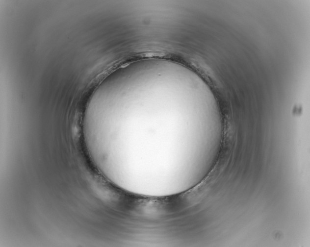 X0000090460074200708102120